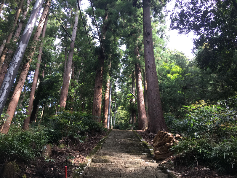 上ノ山八幡社に続く階段