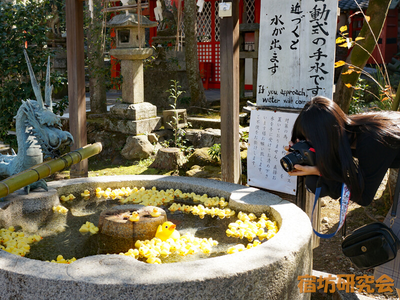 粟田神社のアヒル手水