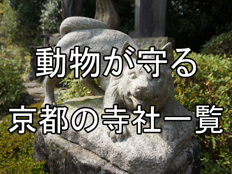 動物が守る京都の寺社一覧