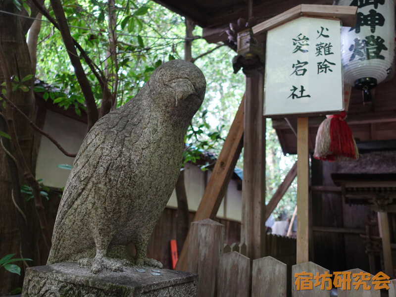 大豊神社の鳶