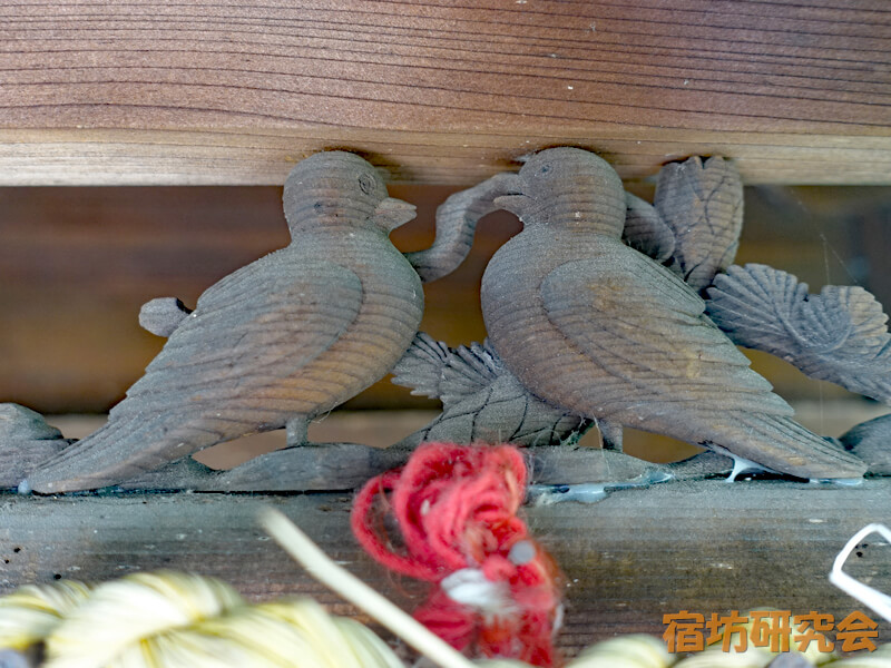 首途八幡宮の鳩