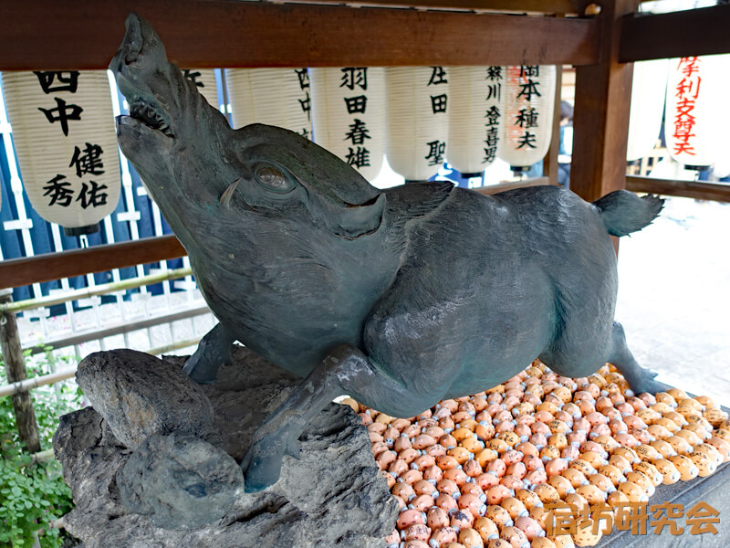 建仁寺禅居庵の猪