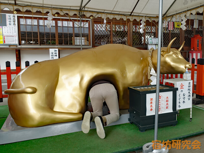 吉祥院天満宮の金のくぐり牛