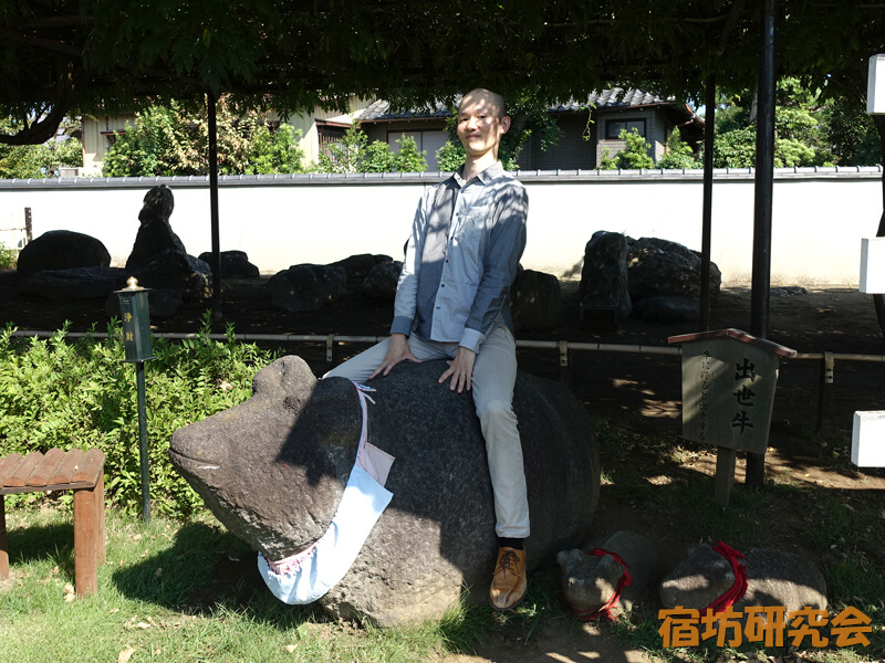 南蔵院の出世牛