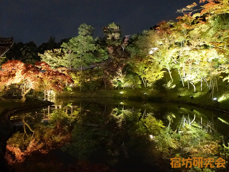 秋の夜間特別拝観（紅葉ライトアップ）