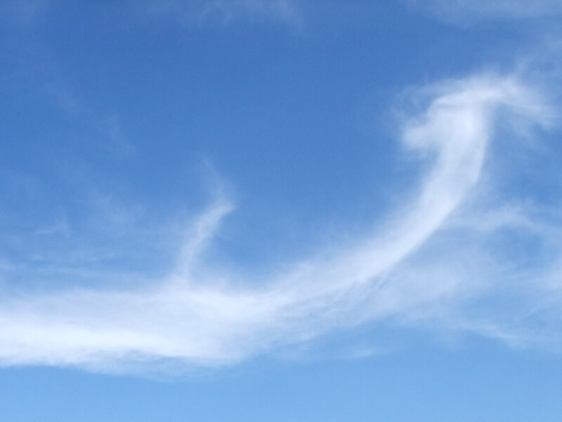 秘仏「三面大黒天」・十一面観世音菩薩 御開帳